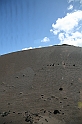 Kanary_2010 107